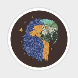 blue yellow macaw vintage Magnet